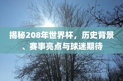 揭秘208年世界杯，历史背景、赛事亮点与球迷期待