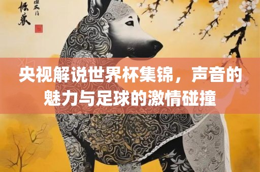 央视解说世界杯集锦，声音的魅力与足球的激情碰撞
