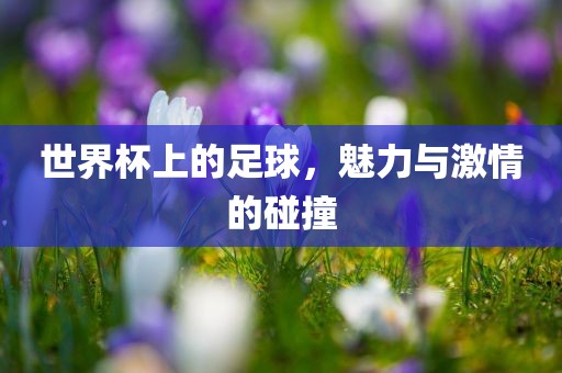 世界杯上的足球，魅力与激情吉安市靖泰电力工程有限公司的碰撞