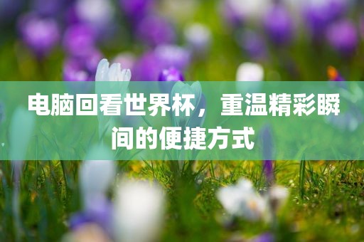 电脑回看世界杯，重温精彩瞬间的便捷方式