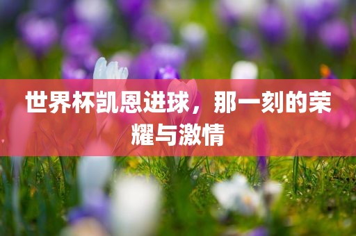 世界杯凯恩进球，那一刻的荣耀与激情