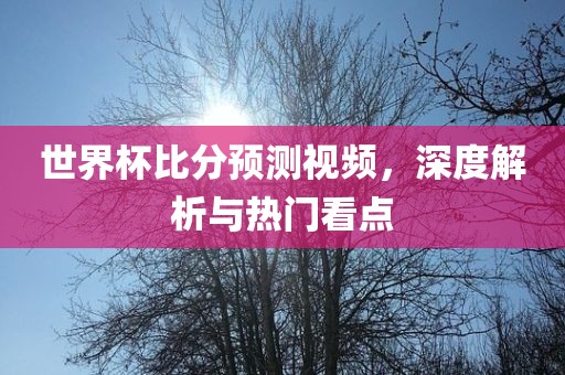 世界杯比分预测视频，深度解析与热门看点