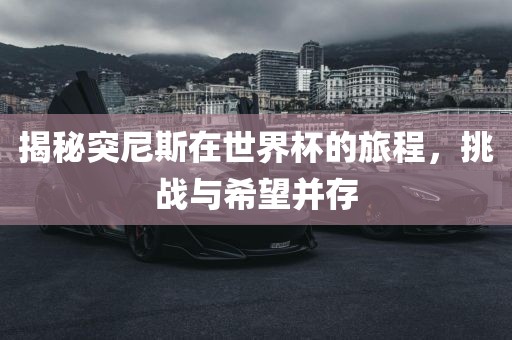 揭秘突尼斯在世界杯的旅程，挑战与希望并存