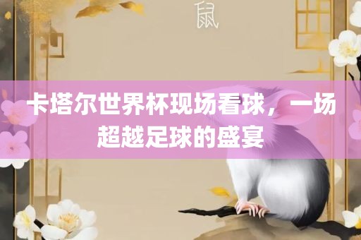 卡塔尔世界杯现场看球，一场超越足球的盛宴