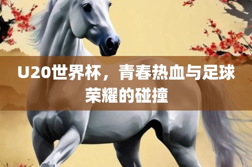 U20世界杯，青春热血与足球荣耀的碰撞