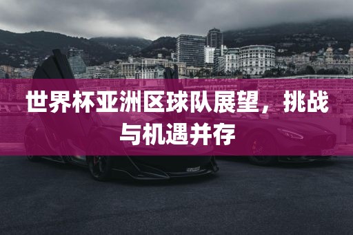 世界杯亚洲区球队展望，挑战与机遇并存