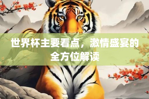 世界杯主要看点，激情盛宴的全方位解读