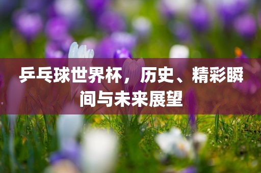 乒乓球世界杯，历史、精彩瞬间与未来展望