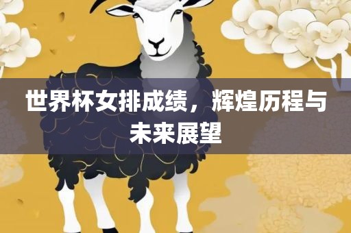 世界杯女排成绩，辉煌历程与未来展望