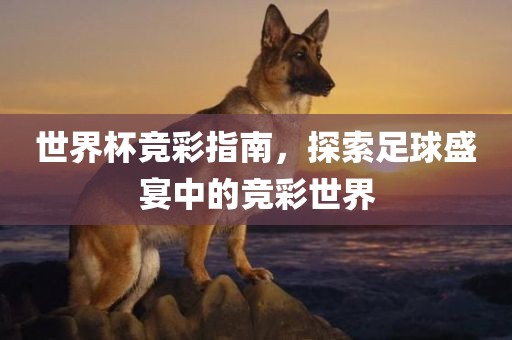 世界杯竞彩指南，探索足球盛宴中的竞彩世界