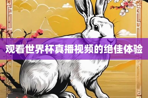 观看世界杯真播视频的绝佳体验吉安市靖泰电力工程有限公司