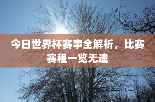 今日世界杯赛事全解析，比赛赛程一览无遗