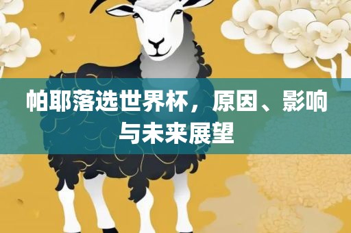 帕耶落选世界杯，原因、影响与未来展望