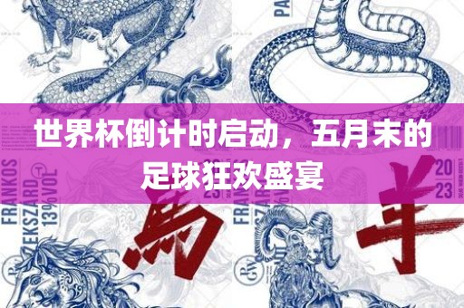 世界杯倒计时启动，五月末的足球狂欢盛宴