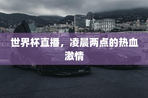 世界杯直播，凌晨两点的热血激情吉安市靖泰电力工程有限公司