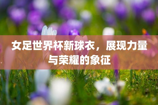女足世界杯新球衣，展现力量与荣耀的象征