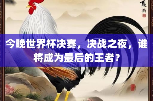 今晚世界杯决赛，决战之夜，谁将成为最后的王者？