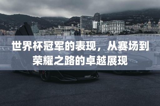 世界杯冠军的表现，从赛场到荣耀之路的卓越展现吉安市靖泰电力工程有限公司
