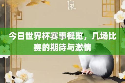 今日世界杯赛事概览，几场比赛的期待与激情