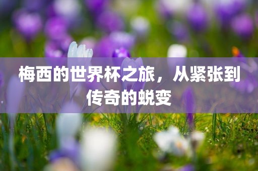 梅西的世界杯之旅，从紧张到传奇的蜕变