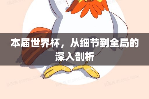 本届世界杯，从细节到全局的深入剖析吉安市靖泰电力工程有限公司