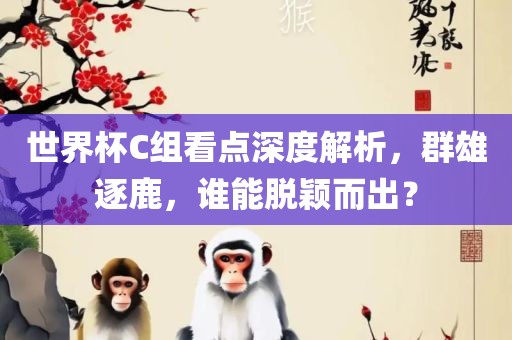 世界杯C组看点深度解析，群雄逐鹿，谁能脱颖而出？