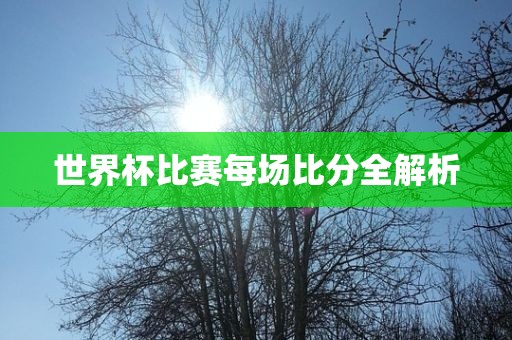 世界杯比赛每场比分全解析