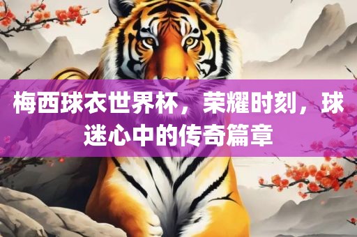 梅西球衣世界杯，荣耀时刻，球迷心中的传奇篇章