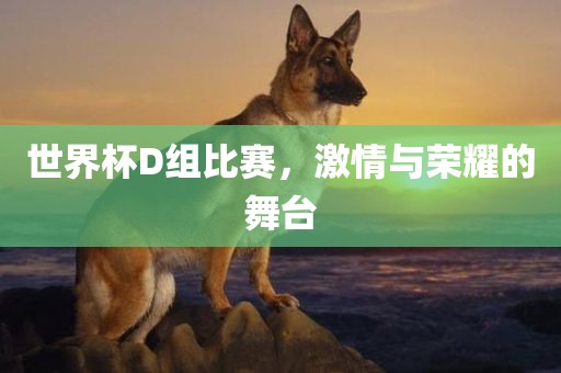 世界杯D组比赛，激情与荣耀吉安市靖泰电力工程有限公司的舞台
