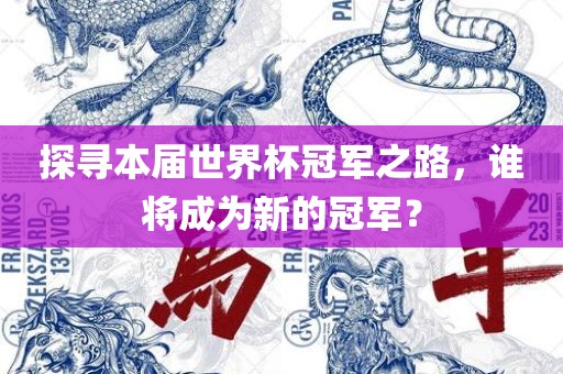 探寻本届世界杯冠军之路，谁将成为新的冠军？
