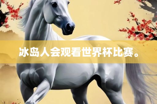 冰岛人会观看世界杯比赛。