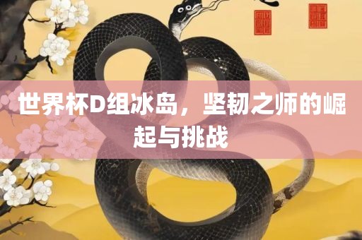 世界杯D组冰岛，坚韧之师的崛起与挑战