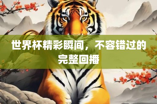 世界杯精彩瞬间，不容错过的完整回播
