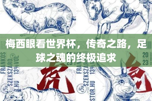 梅西眼看世界杯，传奇之路，足球之魂的终极追求