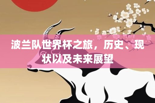 波兰队世界杯之旅，历史、现状以及未来展望