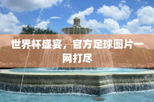 世界杯盛宴，官方足球图片一网打尽