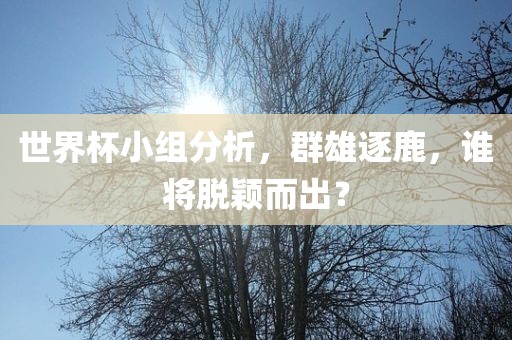 世界杯小组分析，群雄逐鹿，谁将脱颖而出？