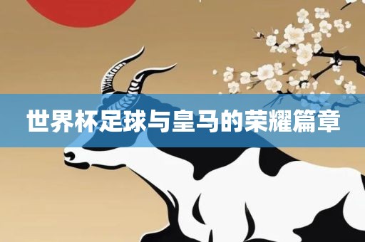世界杯足球 第3页