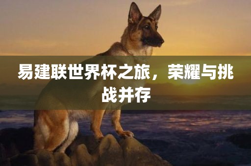易建联世界杯之旅，荣耀与挑战并存