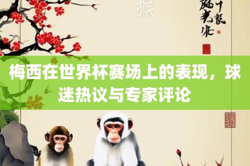 梅西在世界杯赛场上的表现，球迷热议与专家评论