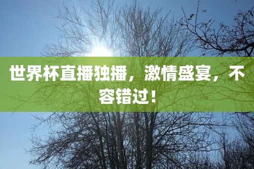 世界杯直播独播，激情盛宴，不容错过！吉安市靖泰电力工程有限公司