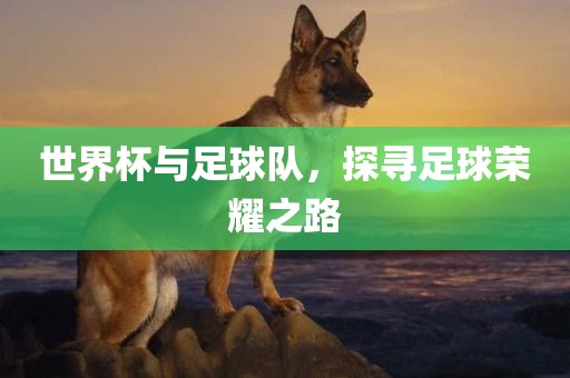 世界杯与足球队，探寻足球荣耀之路吉安市靖泰电力工程有限公司