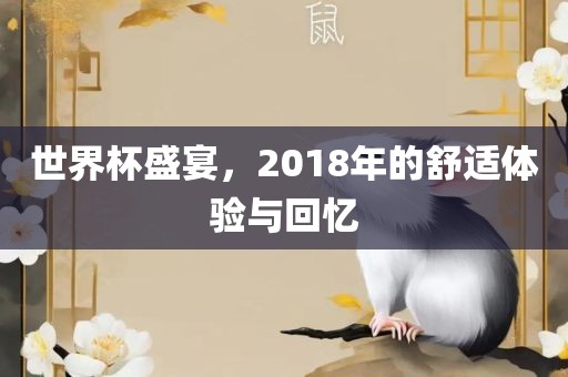 世界杯盛宴，2018年的舒适体验与回忆