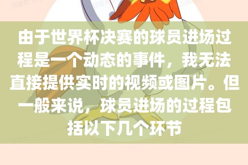 由于世界杯决赛的球员进场过程是一个动态的事件，我无法直接提供实时的视频或图片。但一般来说，球员进场的过程包括以下几个环节
