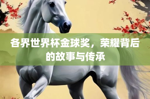 各界世界杯金球奖，荣耀背后的故事与传承