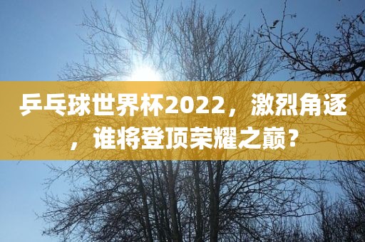 乒乓球世界杯2022，激烈角逐，谁将登顶荣耀之巅？
