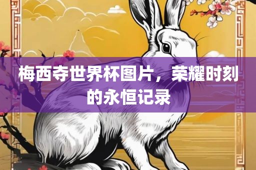 梅西夺世界杯图片，荣耀时刻的永恒记录
