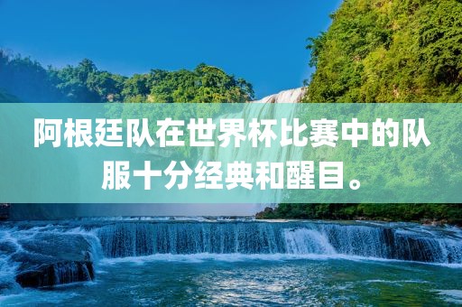 阿根廷队在世界杯比赛中的队服十分经典和醒目。
