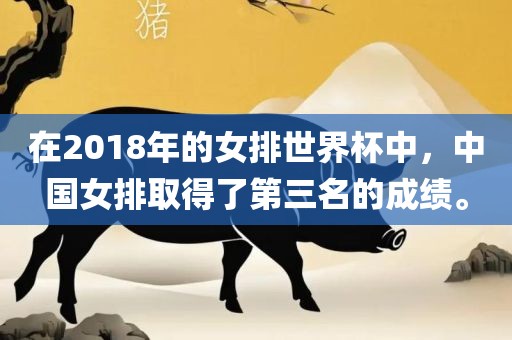 在2018年的女排世界杯中，中国女排取得了第三名的成绩。