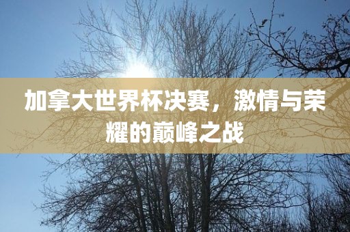 加拿大世界杯决赛，激情与荣耀的巅吉安市靖泰电力工程有限公司峰之战